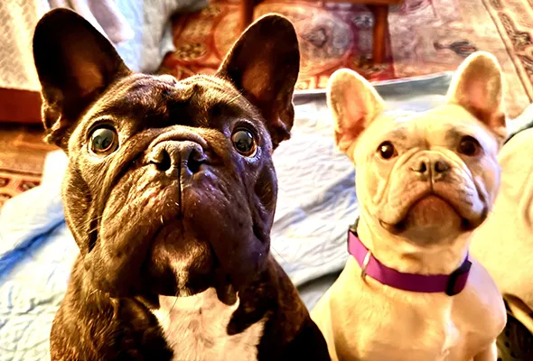 Chiropractic Oshkosh WA Magnus and Isabelle